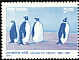 Emperor Penguin Aptenodytes forsteri  1991 Antarctic treaty 