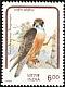 Peregrine Falcon Falco peregrinus  1992 Birds of prey 