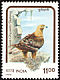 Golden Eagle Aquila chrysaetos  1992 Birds of prey 