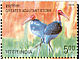 Greater Adjutant Leptoptilos dubius  2006 Endangered birds of India Booklet