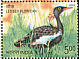 Lesser Florican Sypheotides indicus  2006 Endangered birds of India Booklet