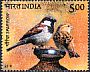 House Sparrow Passer domesticus  2010 Common birds 