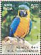 Blue-and-yellow Macaw Ara ararauna  2016 Exotic birds Sheet