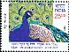Indian Peafowl Pavo cristatus  2017 Joint issue with PNG 