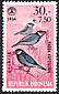 Java Sparrow Padda oryzivora  1965 Social day 