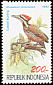Common Flameback Dinopium javanense  1992 Birds 