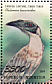 Helmeted Friarbird Philemon buceroides  1995 Primera 95  MS