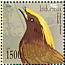Golden-fronted Bowerbird Amblyornis flavifrons  2006 New and rediscovered 4v set