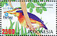 Rufous-collared Kingfisher Actenoides concretus  2009 Indonesian birds Sheet
