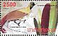 Red Bird-of-paradise Paradisaea rubra  2009 Flora and fauna 11v sheet