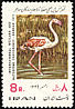 Greater Flamingo Phoenicopterus roseus  1971 International wetland conference 