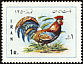 Red Junglefowl Gallus gallus