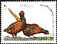 Common Pheasant Phasianus colchicus  1994 New year stamps 