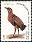 Eurasian Bittern Botaurus stellaris  1994 New year stamps 