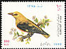 Eurasian Golden Oriole Oriolus oriolus