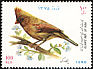 Northern Cardinal Cardinalis cardinalis