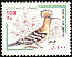 Eurasian Hoopoe Upupa epops  2000 Bird definitive 