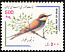 European Bee-eater Merops apiaster  2000 Bird definitive 