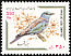 European Roller Coracias garrulus  2001 Bird definitive 