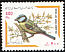 Eurasian Blue Tit Cyanistes caeruleus  2002 Bird definitive 