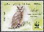 Long-eared Owl Asio otus  2011 WWF 