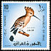 Eurasian Hoopoe Upupa epops  1968 Iraqi birds 