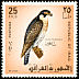 Peregrine Falcon Falco peregrinus  1968 Iraqi birds 