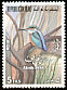 Common Kingfisher Alcedo atthis  1976 Birds 