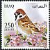 Eurasian Tree Sparrow Passer montanus