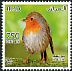 European Robin Erithacus rubecula  2015 Iraqi birds 