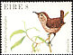 Eurasian Wren Troglodytes troglodytes  1979 Birds 