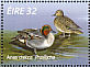 Eurasian Teal Anas crecca  1996 Fresh water ducks Sheet