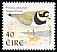 Common Ringed Plover Charadrius hiaticula  1998 Birds 