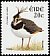 Northern Lapwing Vanellus vanellus  2002 Birds 