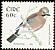 Eurasian Jay Garrulus glandarius  2002 Birds 