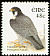 Peregrine Falcon Falco peregrinus  2003 Birds, Stonechat and Falcon 