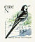 White Wagtail Motacilla alba  2003 Birds, Wagtail and Falcon Booklet, sa, ISS