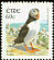 Atlantic Puffin Fratercula arctica  2004 Birds, Puffin and Song Thrush 