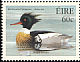 Red-breasted Merganser Mergus serrator  2004 Ducks 