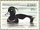 Tufted Duck Aythya fuligula