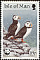 Atlantic Puffin Fratercula arctica  1989 Sea birds 