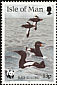 Black Guillemot Cepphus grylle  1989 Sea birds 