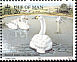 Tundra Swan Cygnus columbianus  1991 Swans 