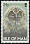 Short-eared Owl Asio flammeus  1997 Owls 