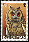 Long-eared Owl Asio otus  1997 Owls 