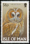 Tawny Owl Strix aluco  1997 Owls 