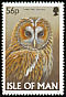 Tawny Owl Strix aluco