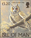 Long-eared Owl Asio otus  1997 Owls 
