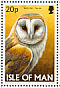 Western Barn Owl Tyto alba  1997 Owls Booklet
