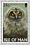 Short-eared Owl Asio flammeus  1997 Owls Booklet